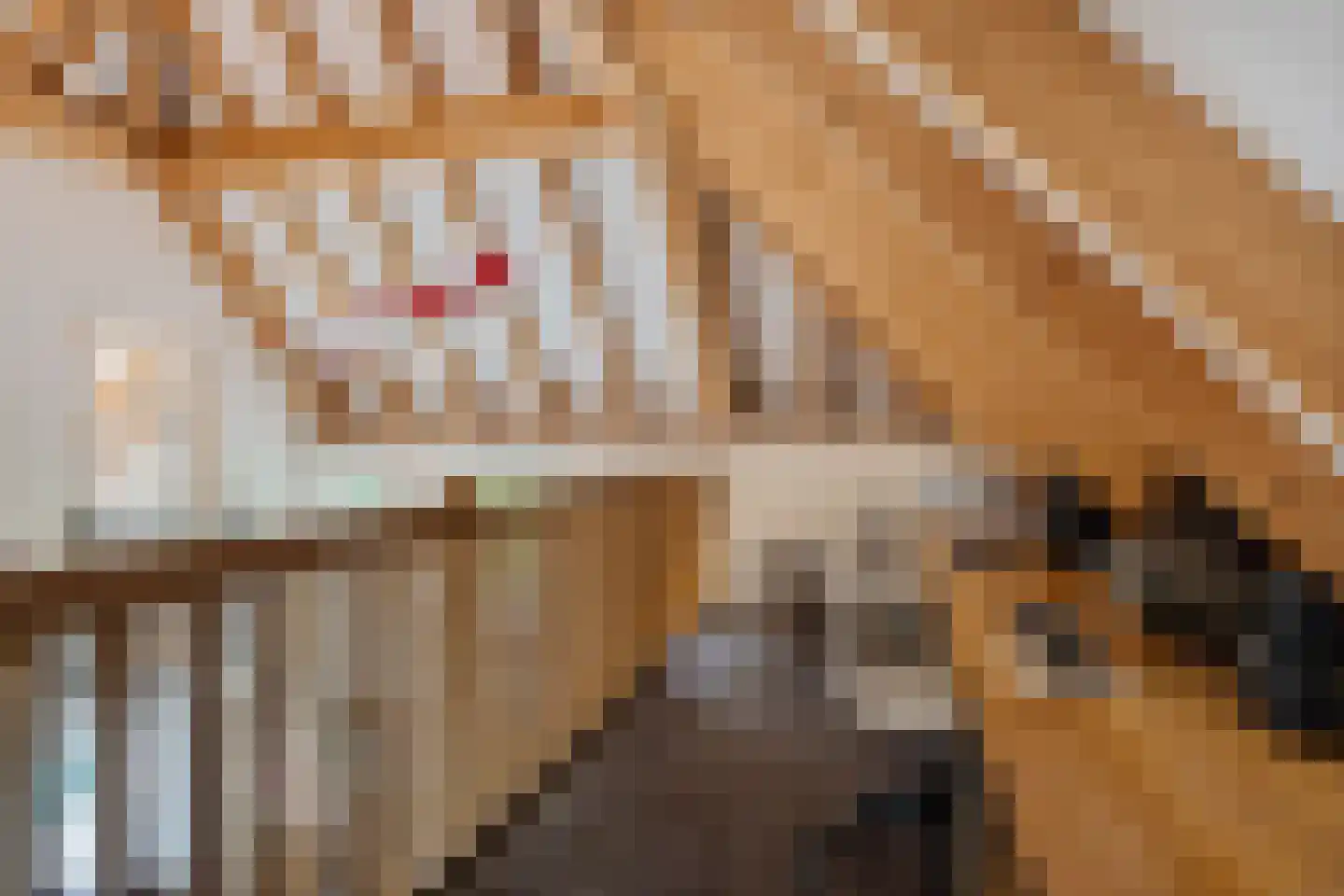 Geeserraai 12 c Geesbrug thumbnail 41