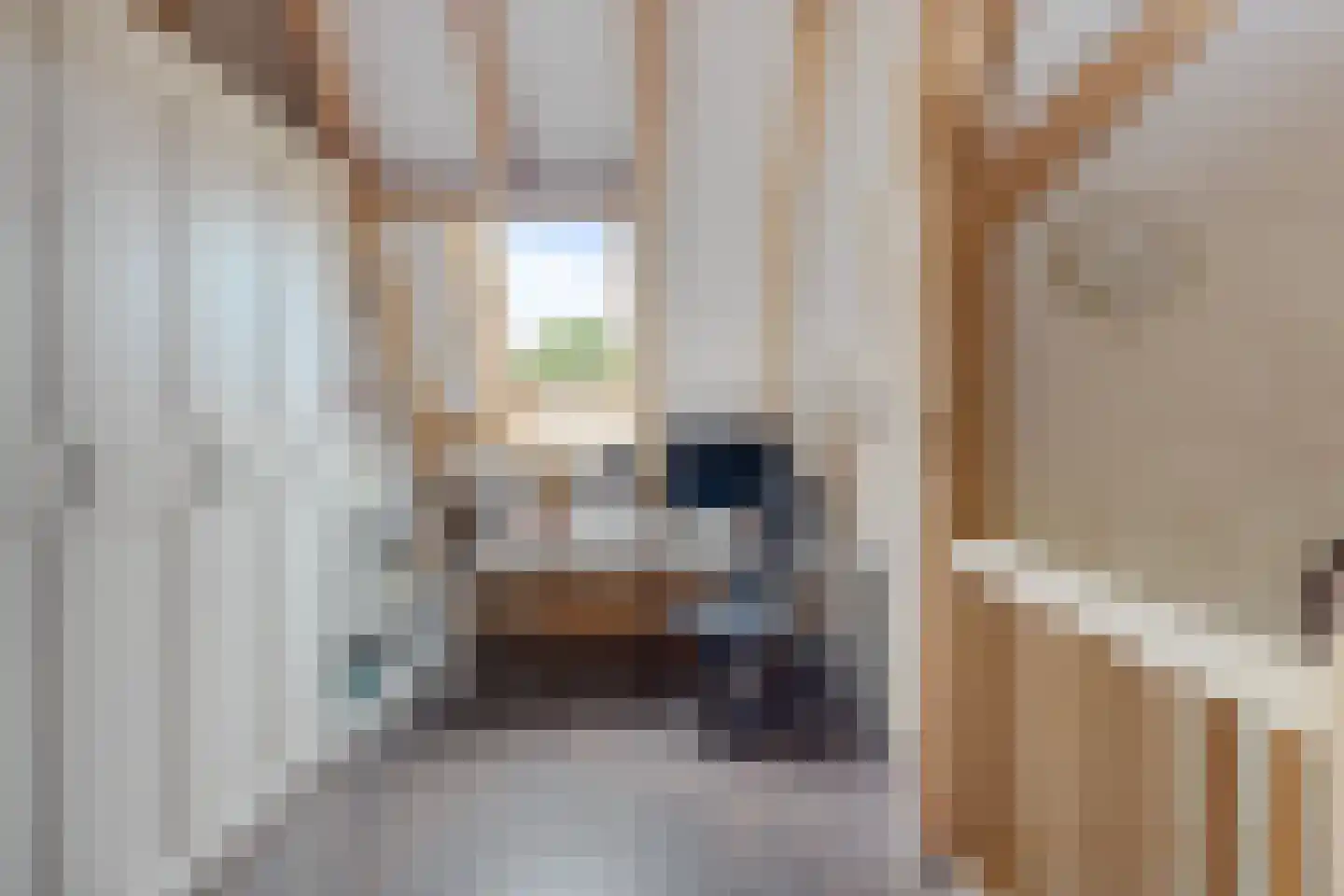 Geeserraai 12 c Geesbrug thumbnail 42