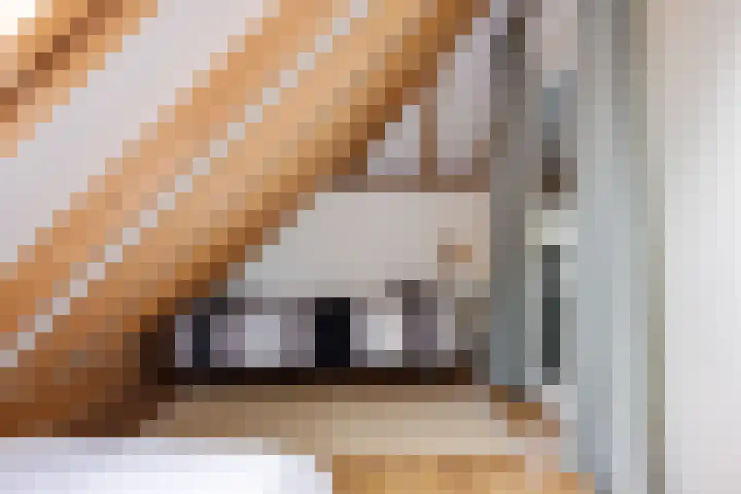 Geeserraai 12 c Geesbrug thumbnail 43