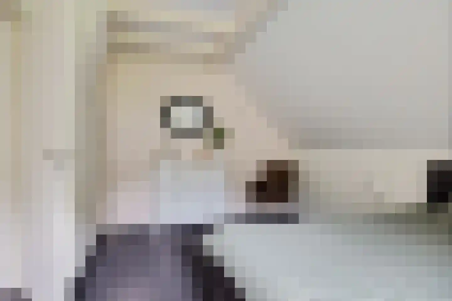 Geeserraai 12 c Geesbrug thumbnail 46