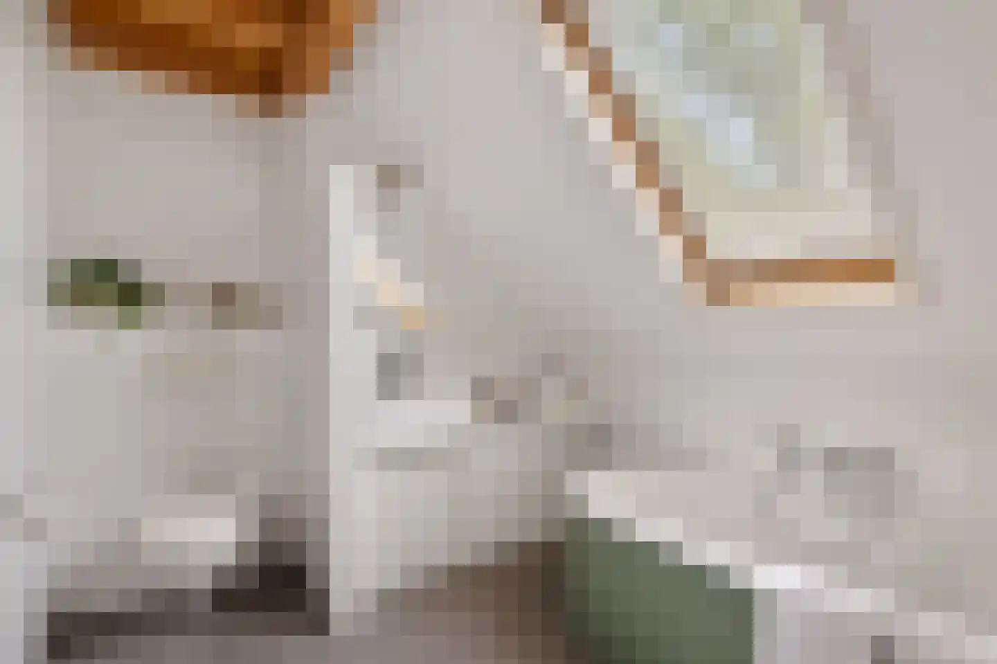 Geeserraai 12 c Geesbrug thumbnail 48