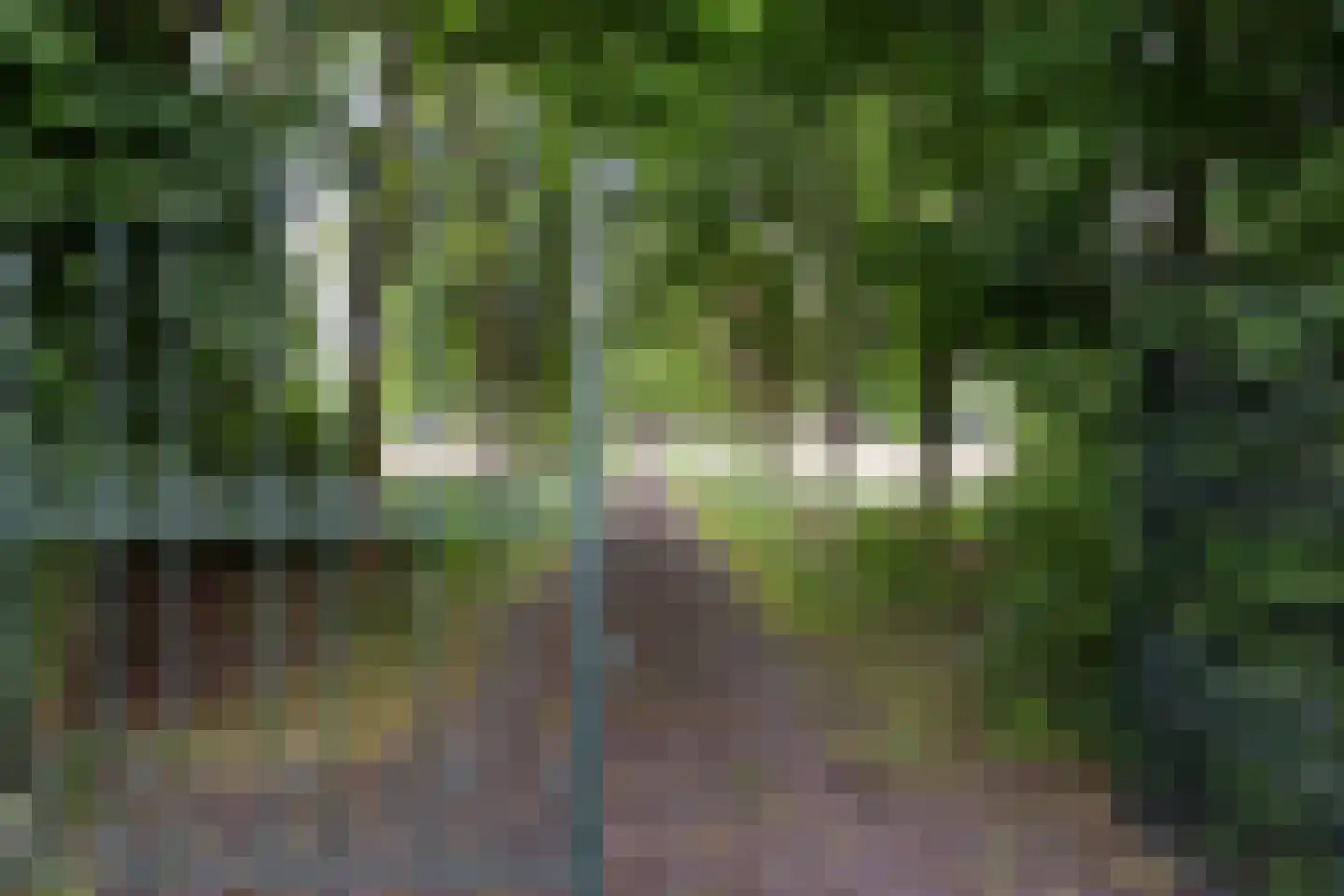 Geeserraai 12 c Geesbrug thumbnail 5