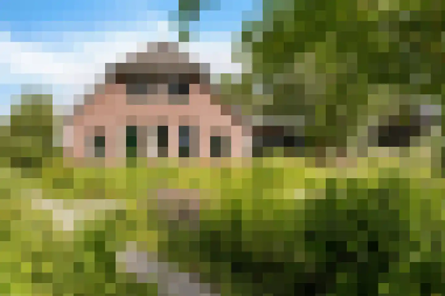Geeserraai 12 c Geesbrug thumbnail 50