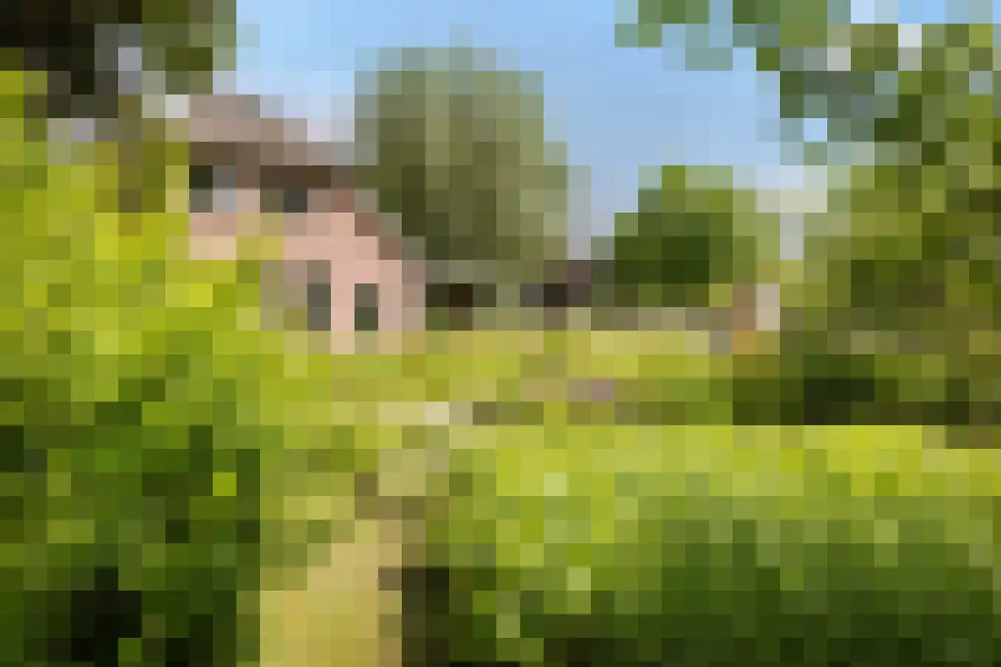 Geeserraai 12 c Geesbrug thumbnail 51