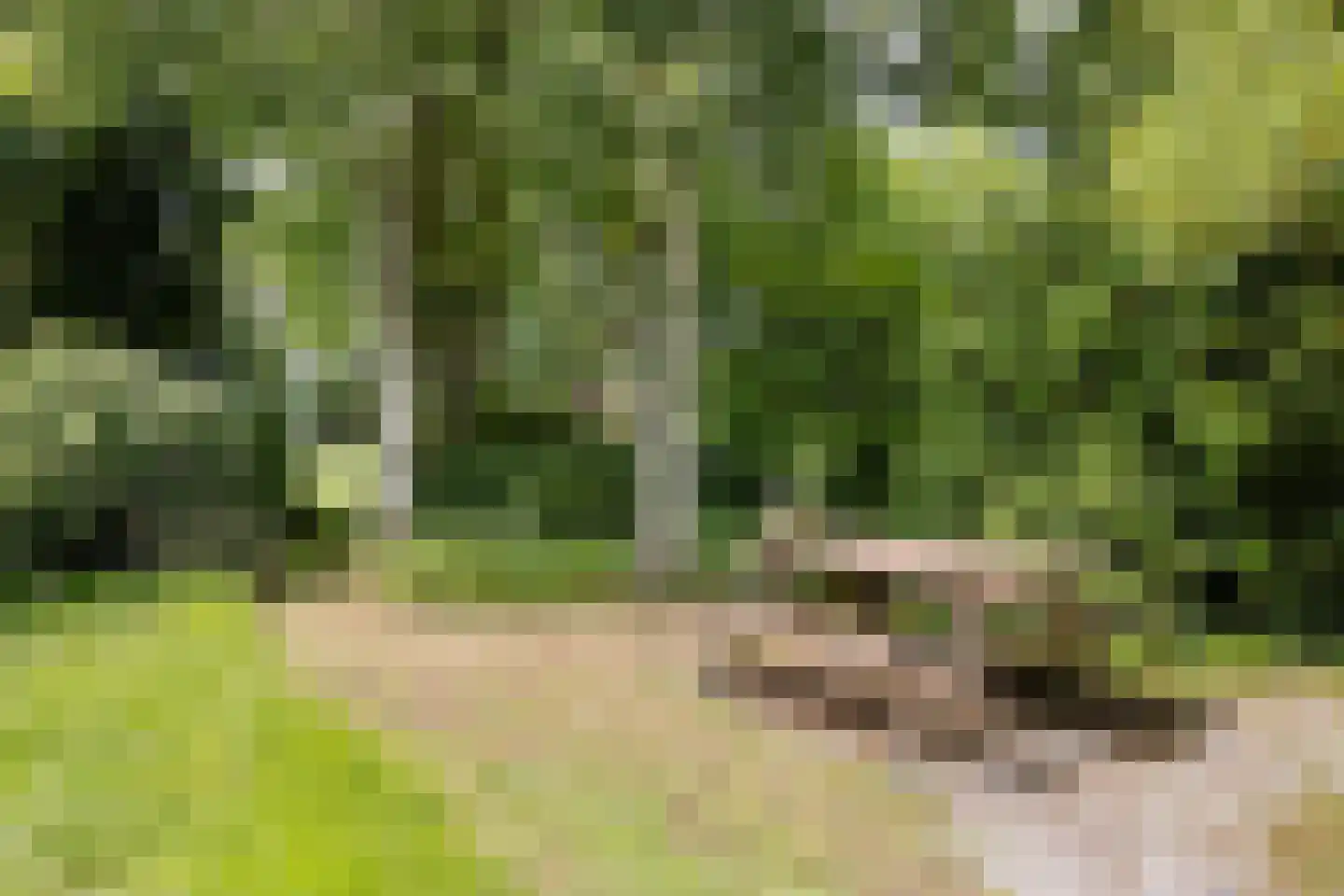 Geeserraai 12 c Geesbrug thumbnail 53