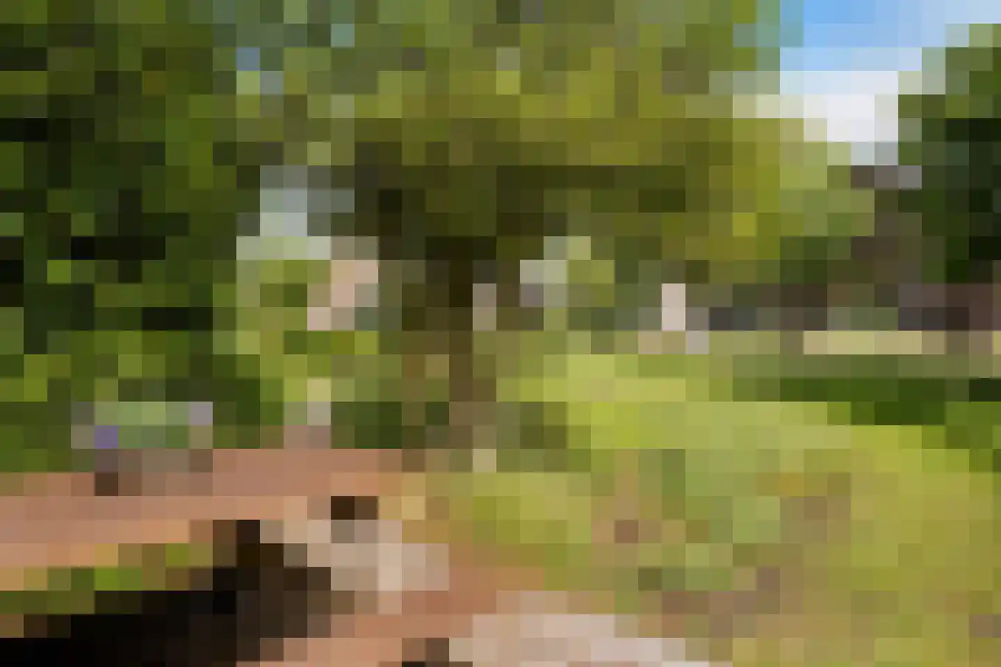 Geeserraai 12 c Geesbrug thumbnail 54