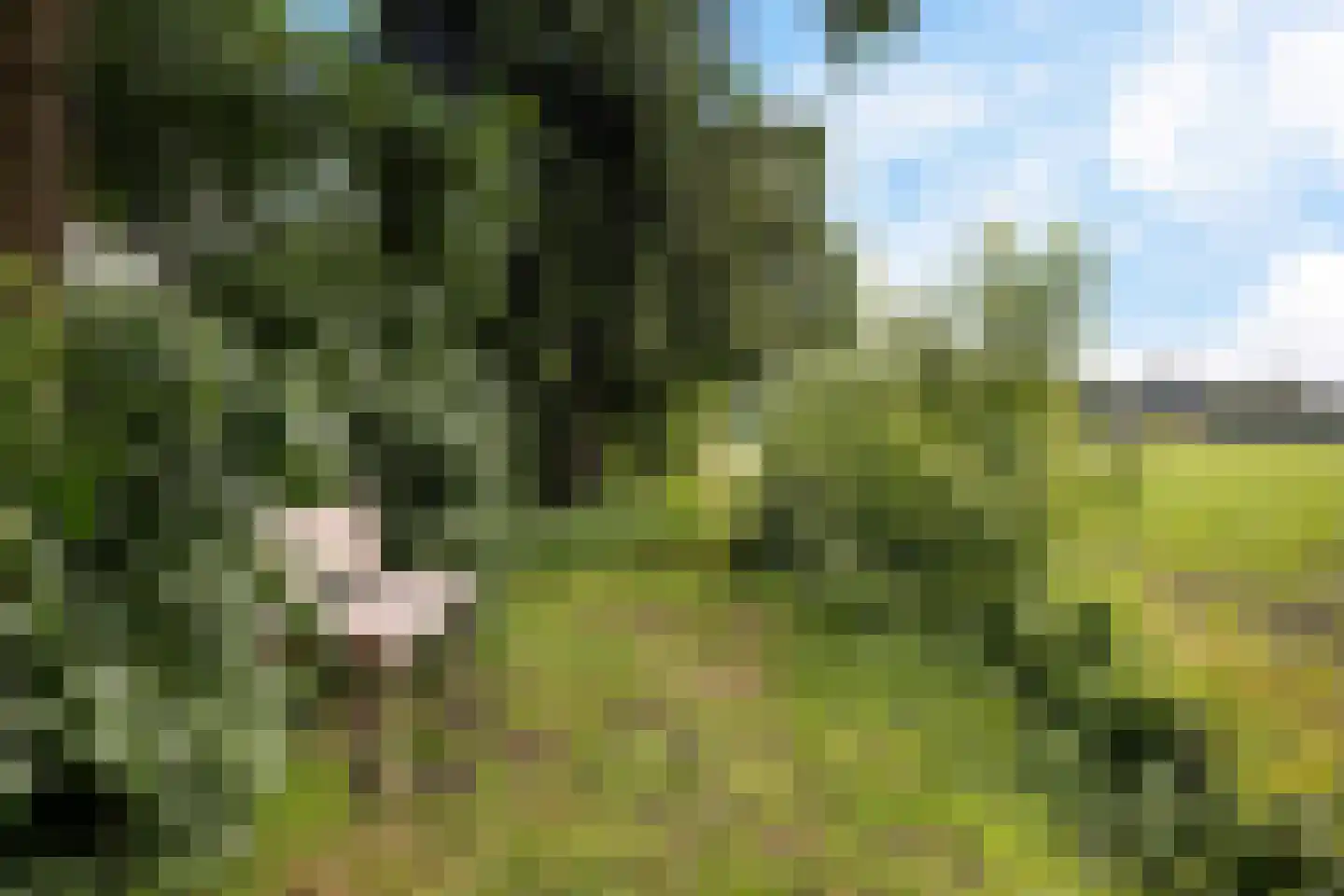 Geeserraai 12 c Geesbrug thumbnail 55
