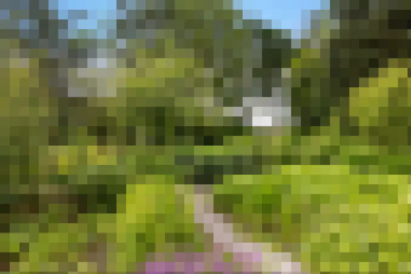 Geeserraai 12 c Geesbrug thumbnail 56