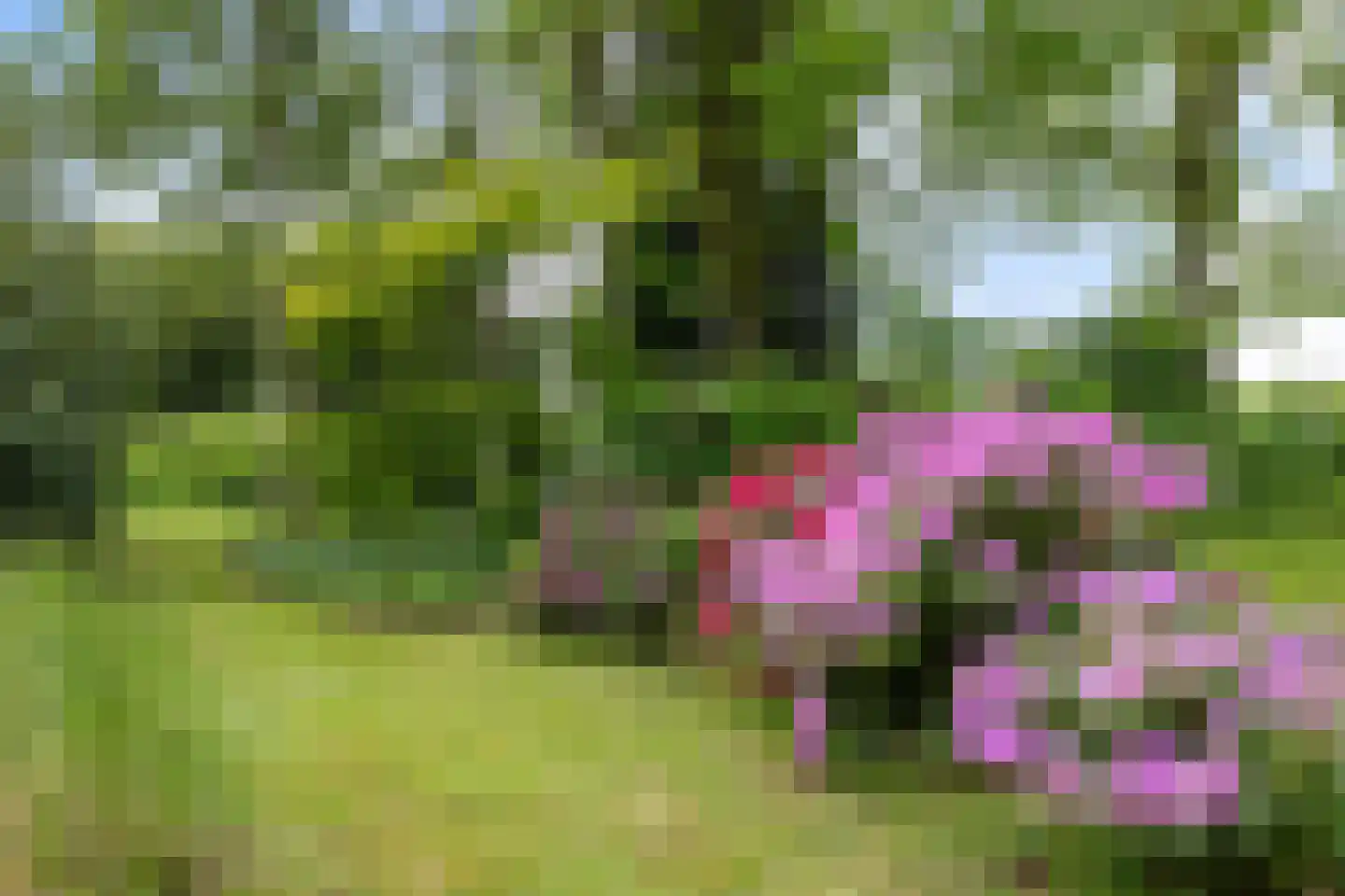 Geeserraai 12 c Geesbrug thumbnail 57