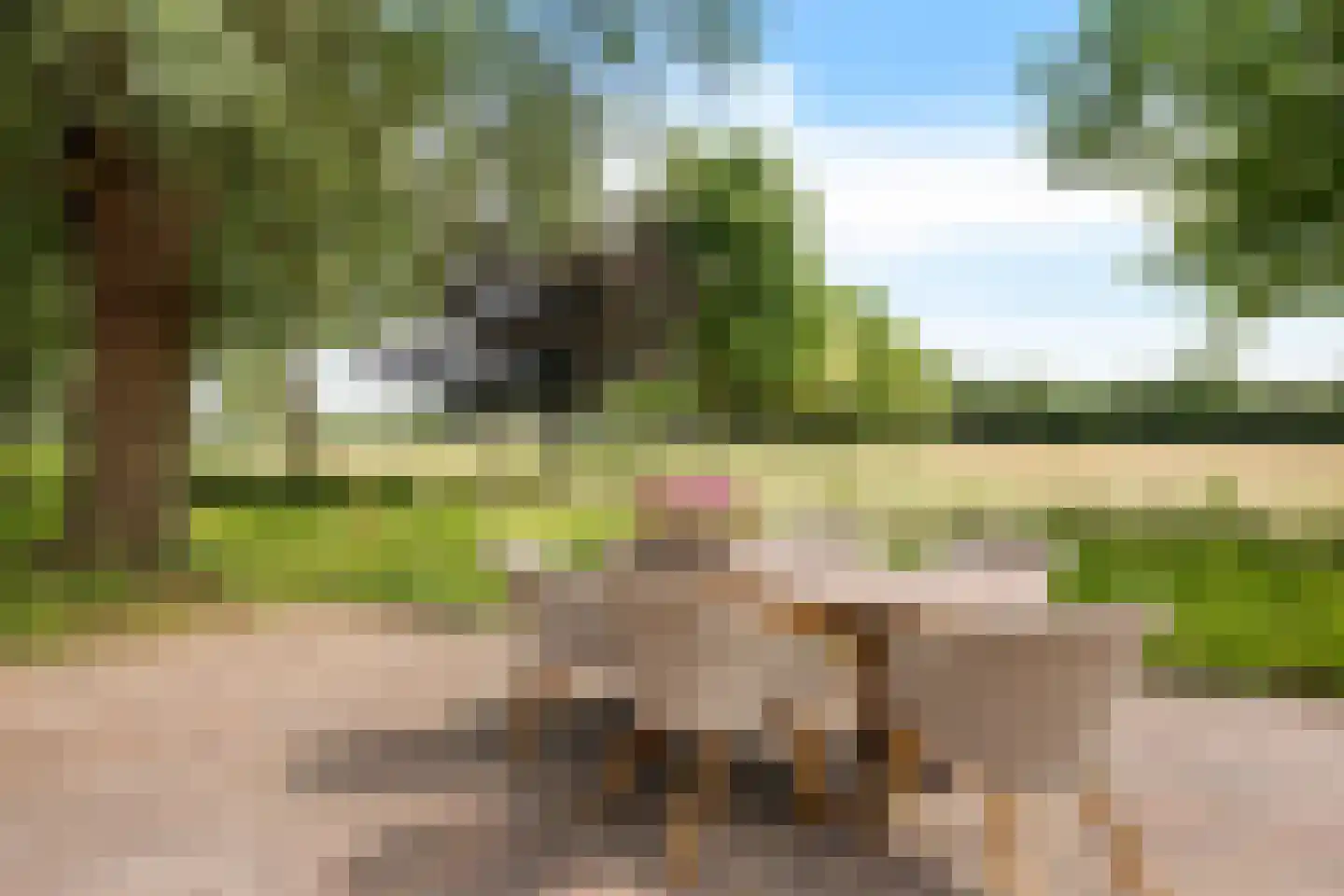 Geeserraai 12 c Geesbrug thumbnail 58