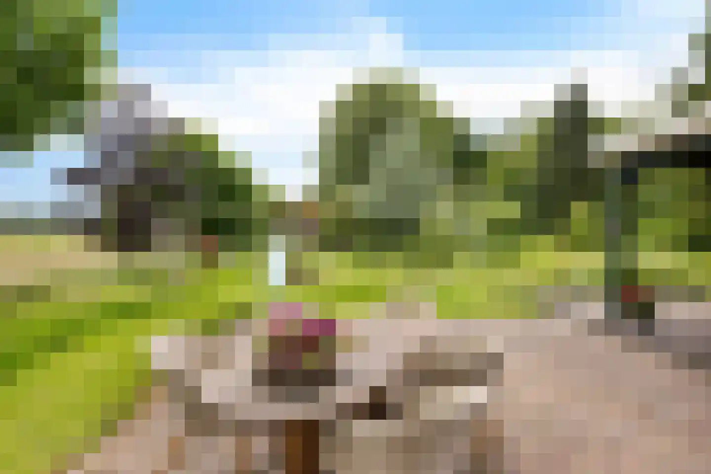 Geeserraai 12 c Geesbrug thumbnail 59