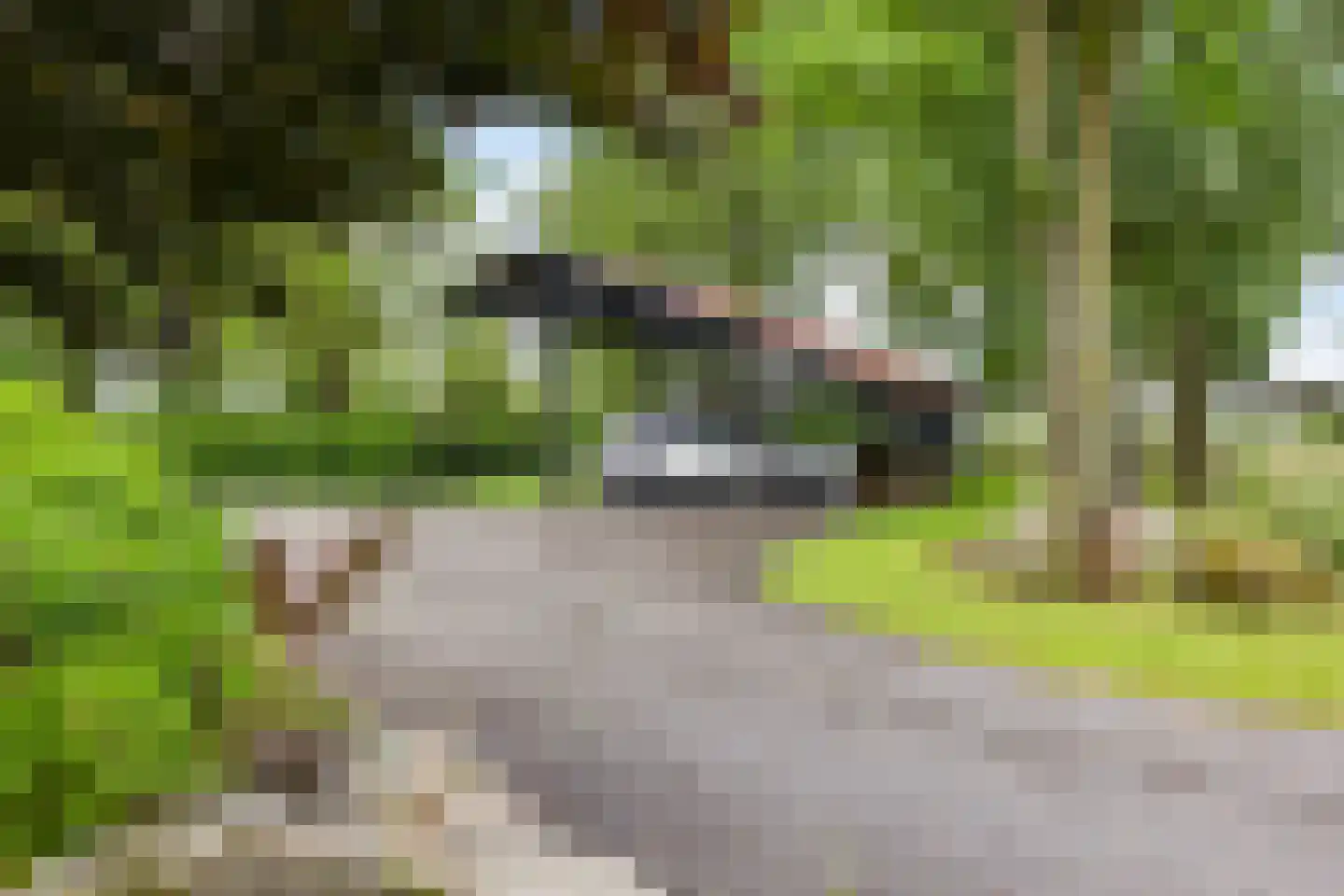 Geeserraai 12 c Geesbrug thumbnail 6