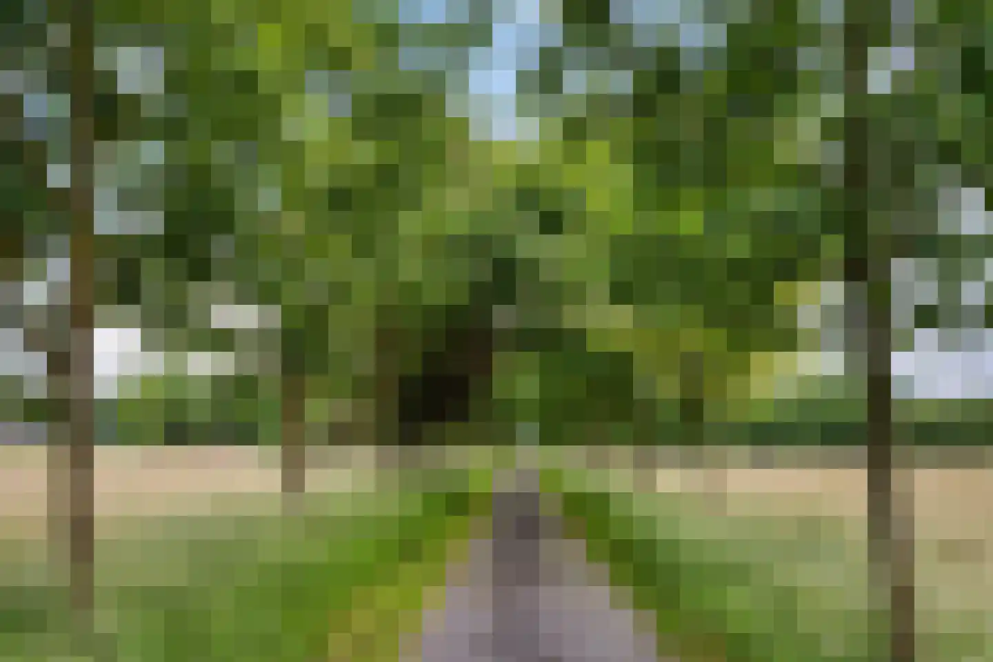 Geeserraai 12 c Geesbrug thumbnail 61