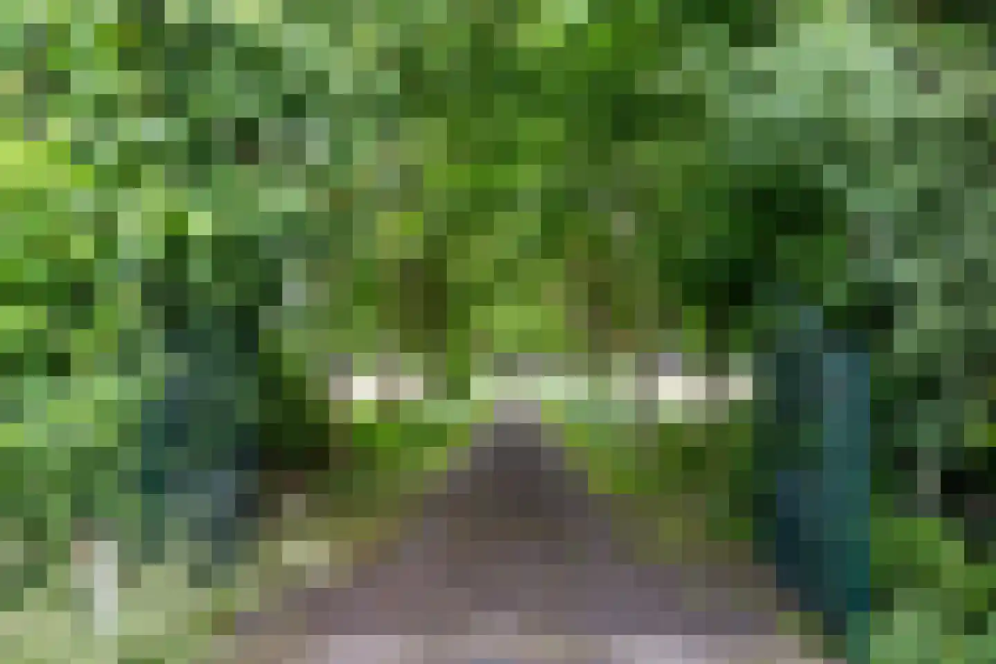 Geeserraai 12 c Geesbrug thumbnail 62