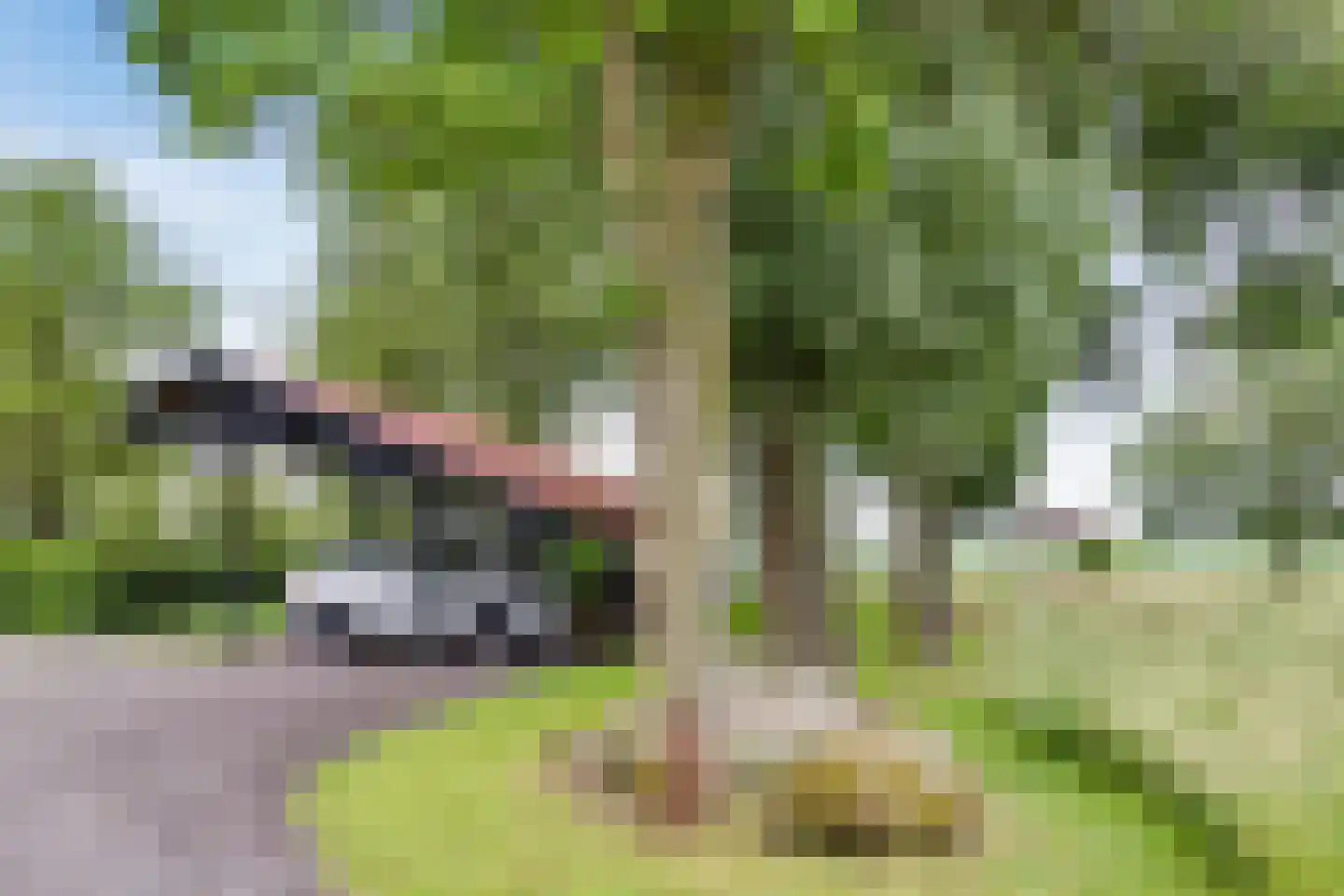 Geeserraai 12 c Geesbrug thumbnail 64