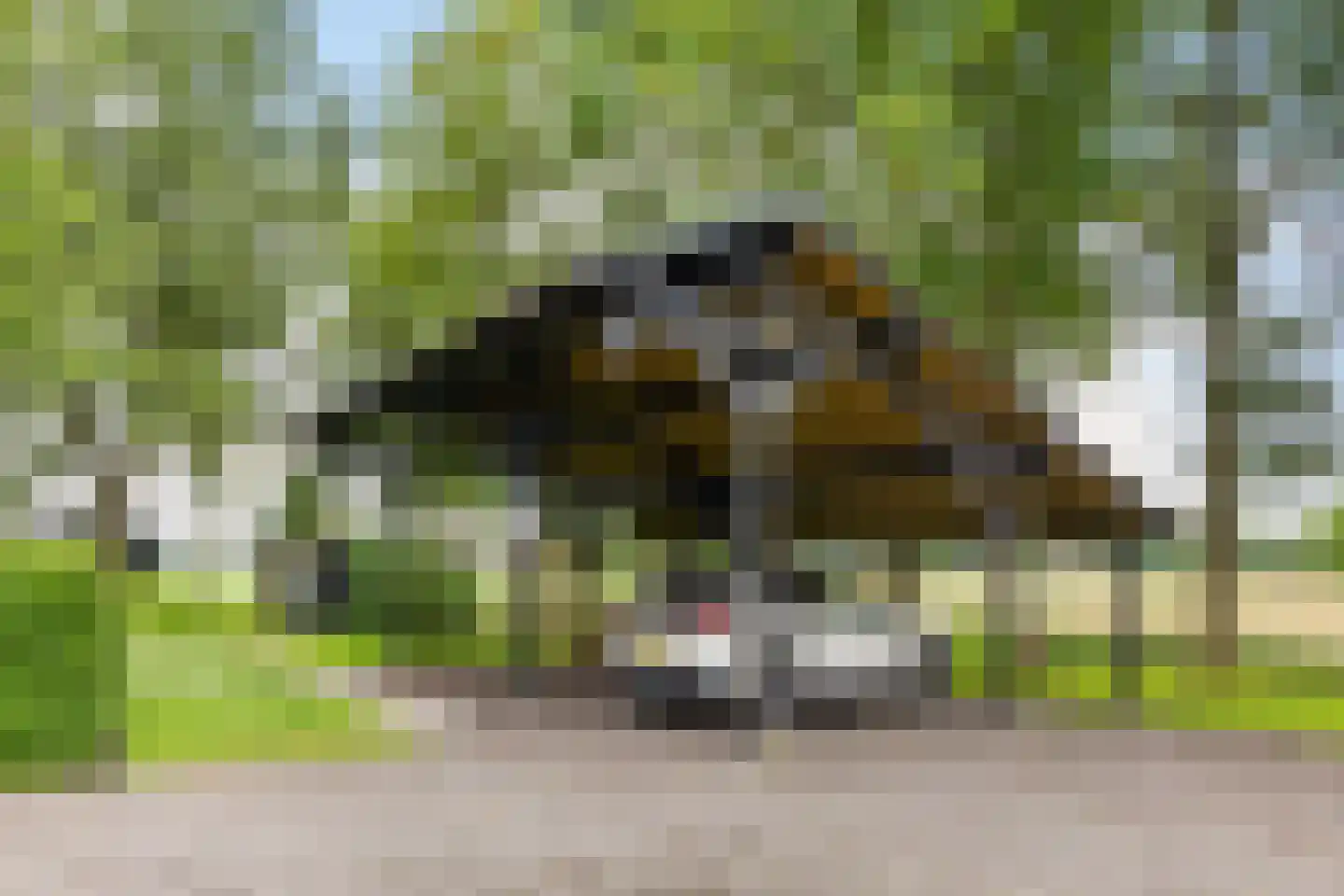 Geeserraai 12 c Geesbrug thumbnail 66