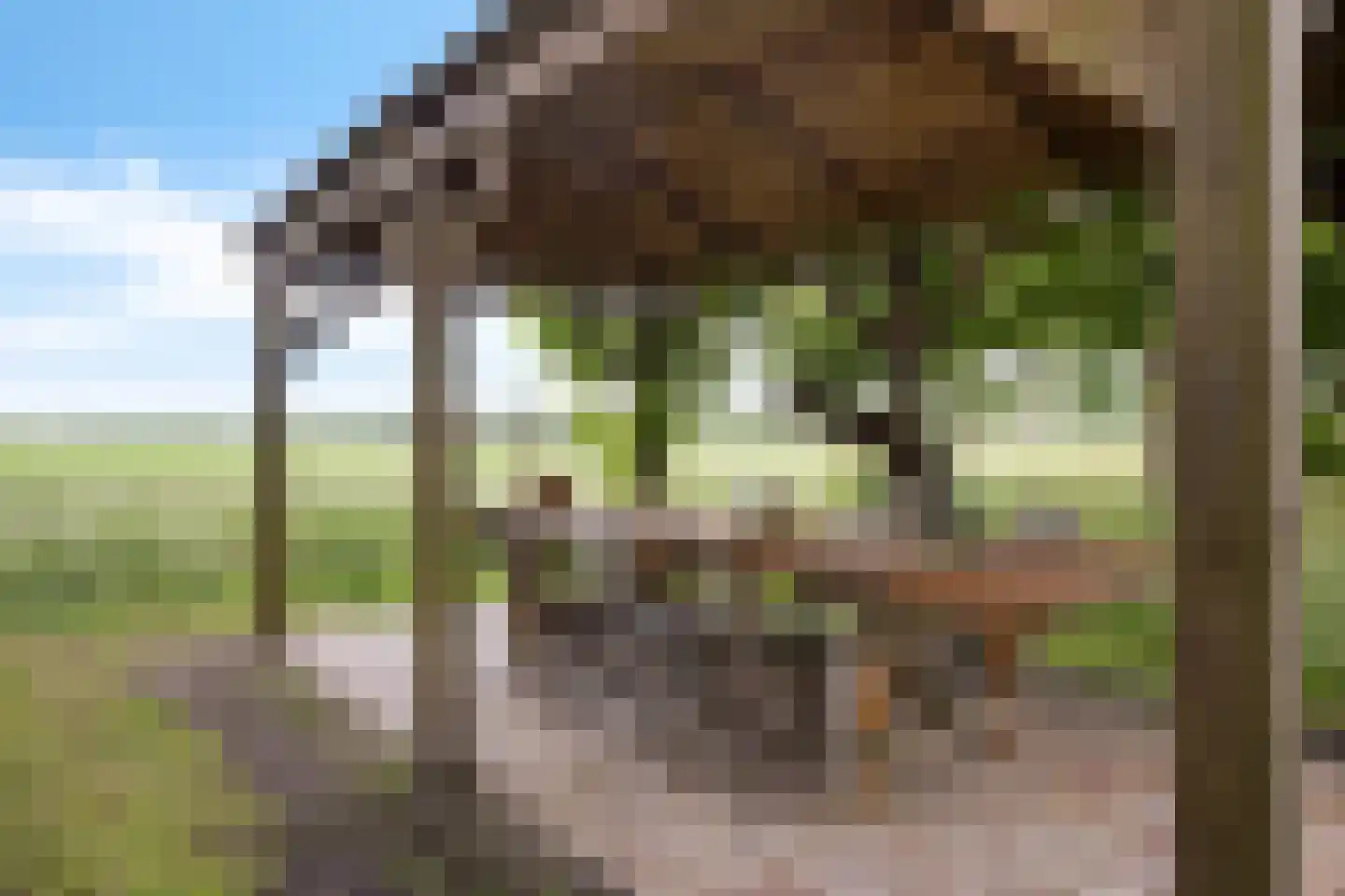Geeserraai 12 c Geesbrug thumbnail 68