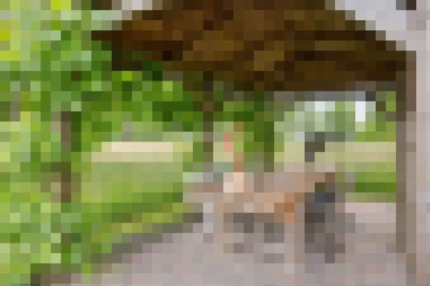 Geeserraai 12 c Geesbrug thumbnail 69