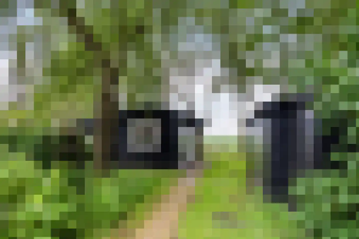 Geeserraai 12 c Geesbrug thumbnail 71