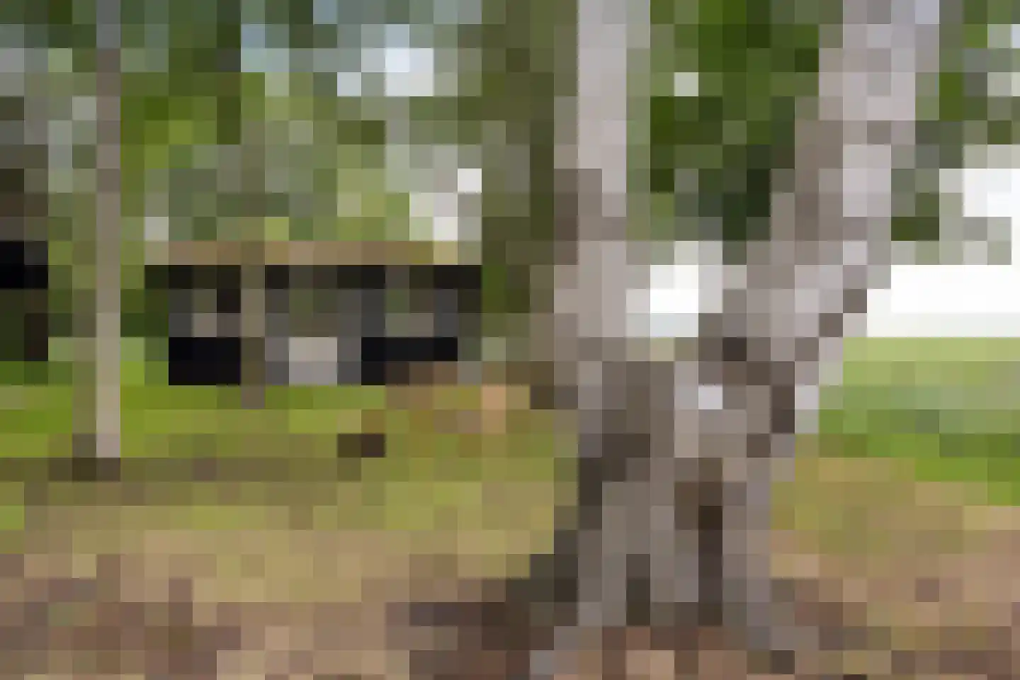 Geeserraai 12 c Geesbrug thumbnail 73