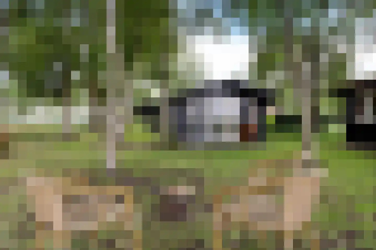Geeserraai 12 c Geesbrug thumbnail 74