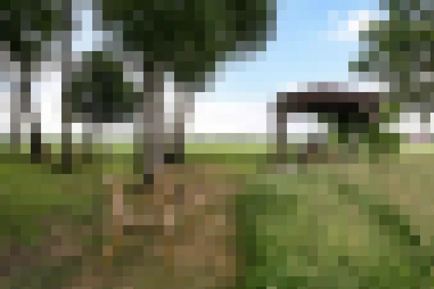 Geeserraai 12 c Geesbrug thumbnail 81