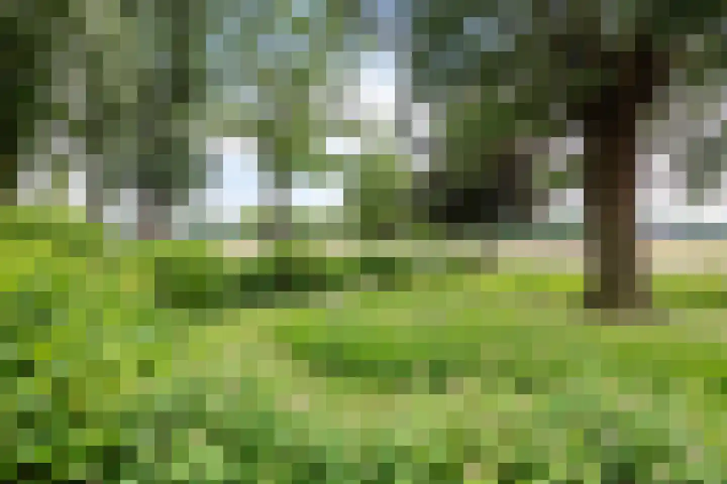 Geeserraai 12 c Geesbrug thumbnail 82