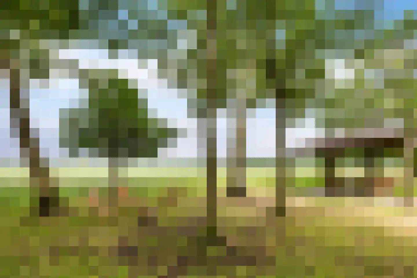 Geeserraai 12 c Geesbrug thumbnail 83