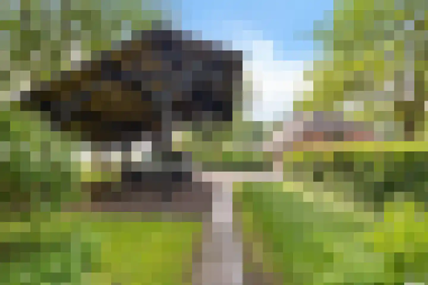 Geeserraai 12 c Geesbrug thumbnail 84