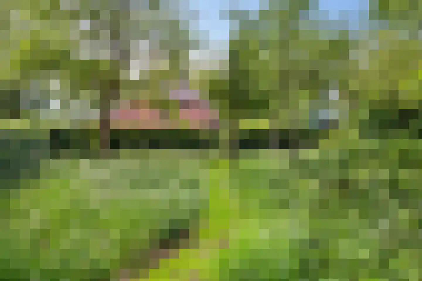 Geeserraai 12 c Geesbrug thumbnail 90