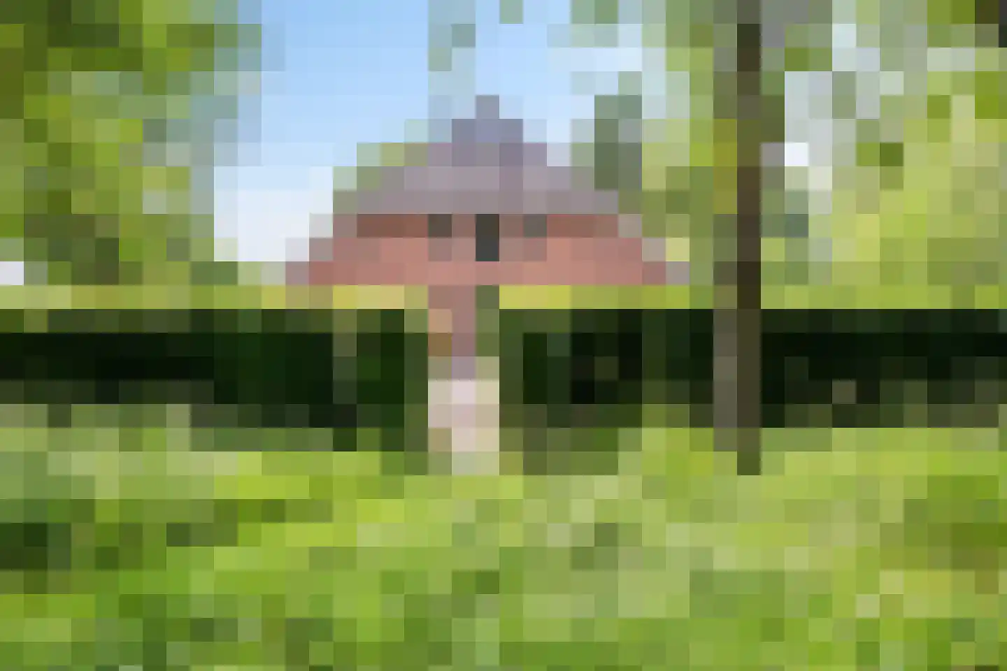 Geeserraai 12 c Geesbrug thumbnail 91