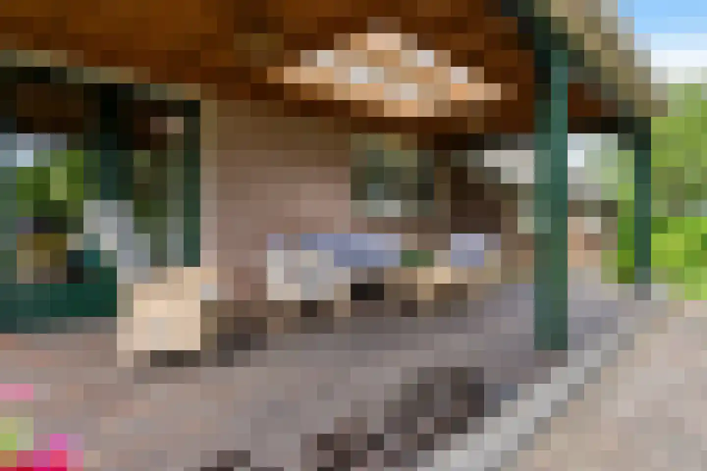 Geeserraai 12 c Geesbrug thumbnail 96