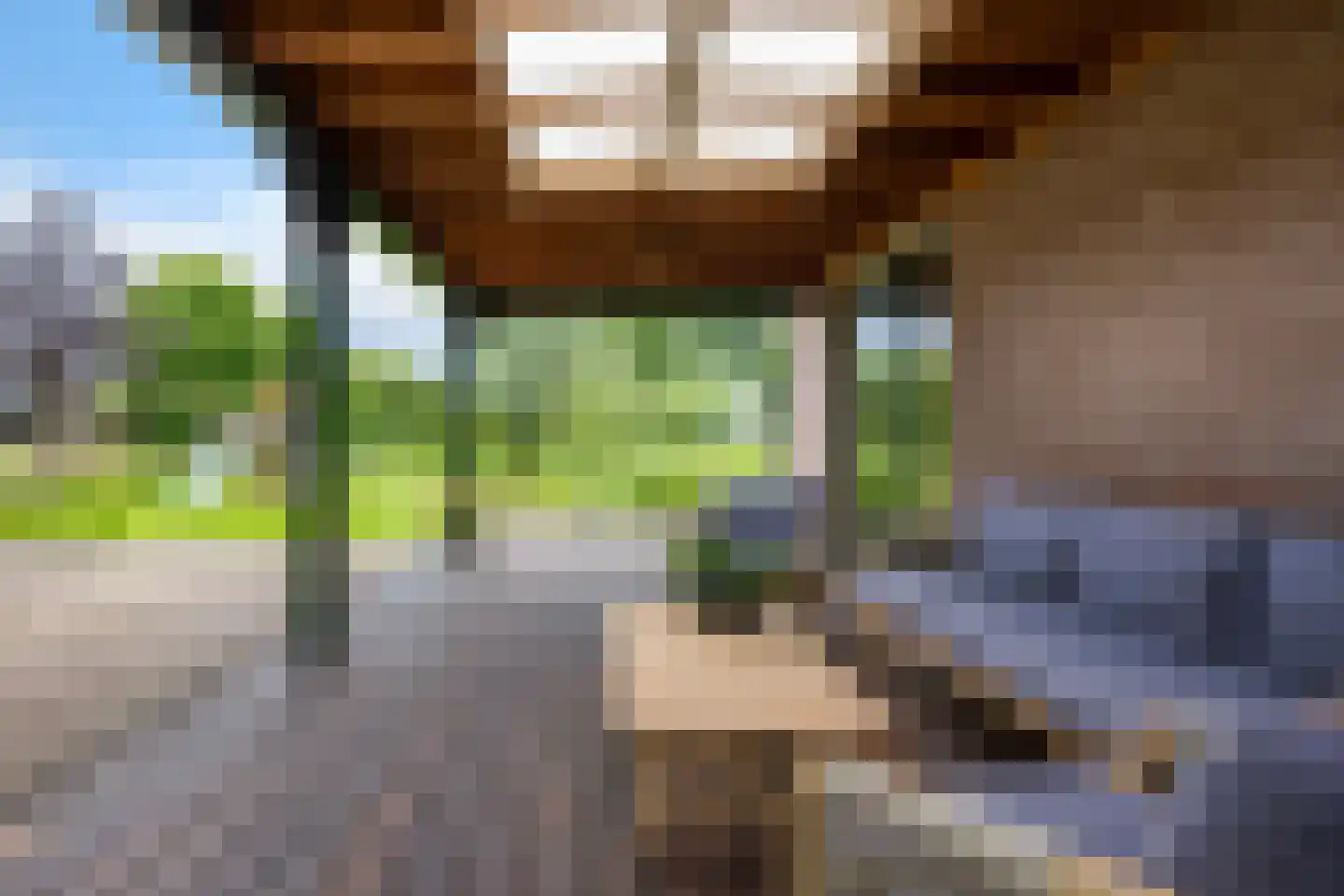 Geeserraai 12 c Geesbrug thumbnail 98