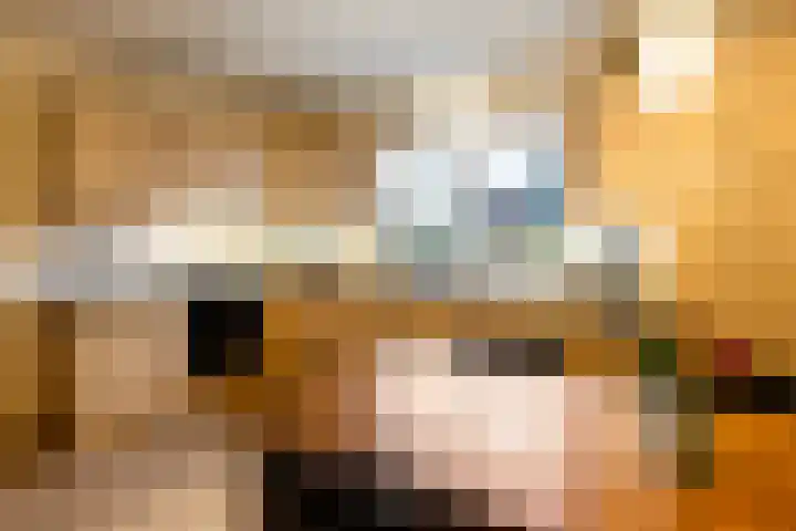 Geesinksbrink 12 Eibergen thumbnail 17