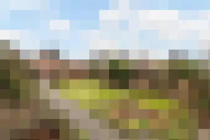 Geesinksbrink 12 Eibergen thumbnail 33