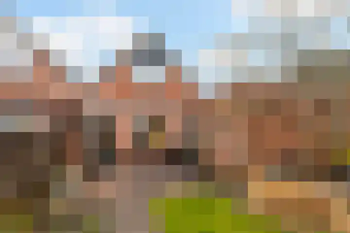 Geesinksbrink 12 Eibergen thumbnail 34