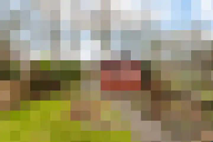 Geesinksbrink 12 Eibergen thumbnail 36