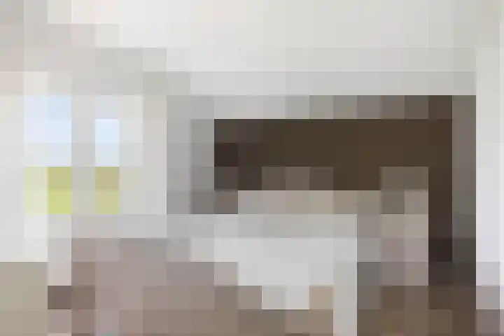 Geesinkweg 12 Warnsveld thumbnail 12