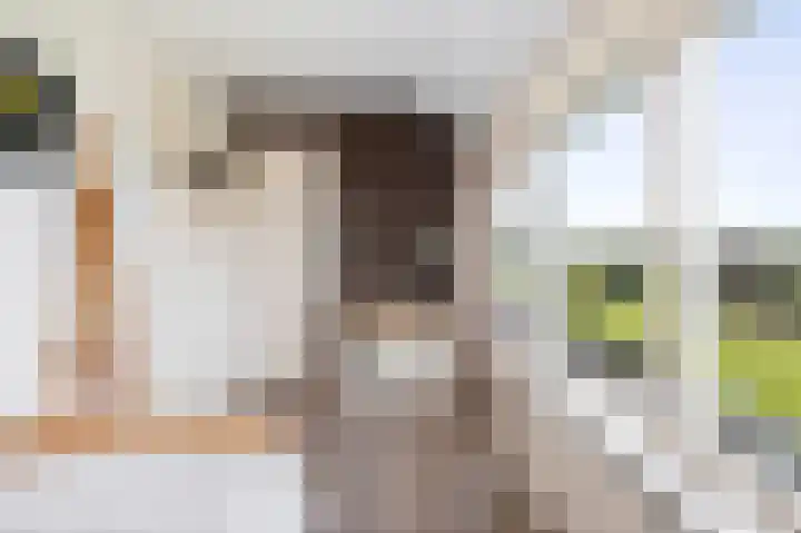 Geesinkweg 12 Warnsveld thumbnail 19