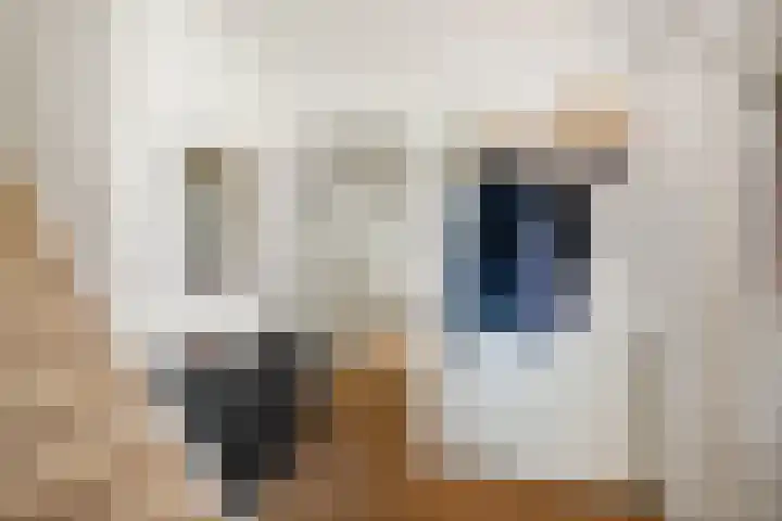 Geesinkweg 12 Warnsveld thumbnail 28