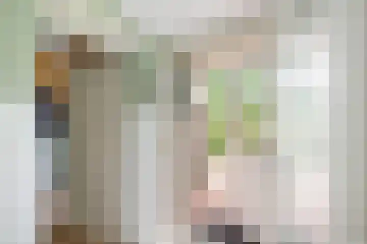 Geesinkweg 12 Warnsveld thumbnail 39