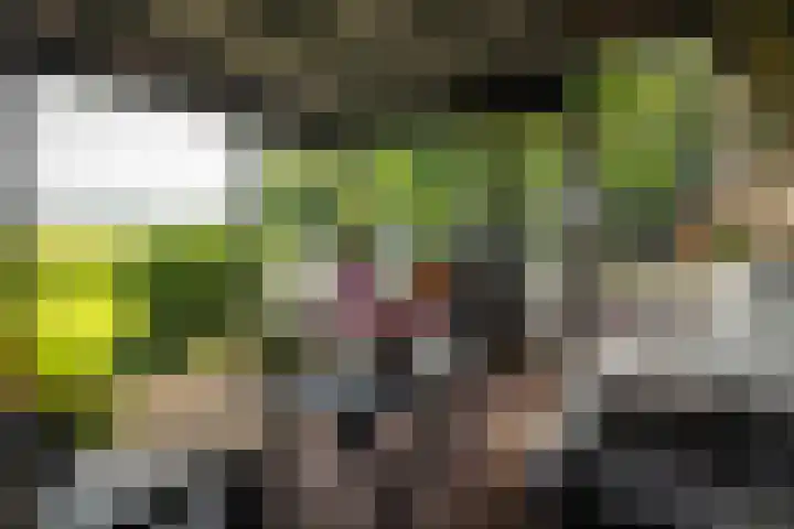 Geesinkweg 12 Warnsveld thumbnail 41