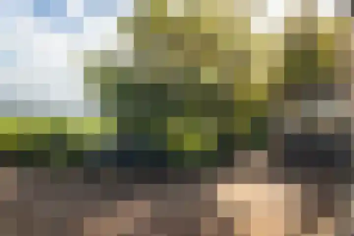 Geesinkweg 12 Warnsveld thumbnail 42