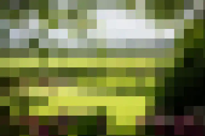 Geesinkweg 12 Warnsveld thumbnail 47