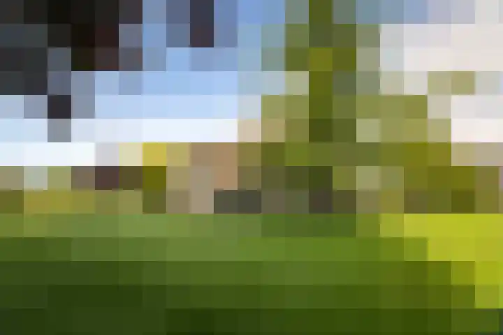Geesinkweg 12 Warnsveld thumbnail 48