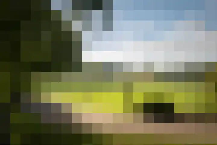 Geesinkweg 12 Warnsveld thumbnail 53