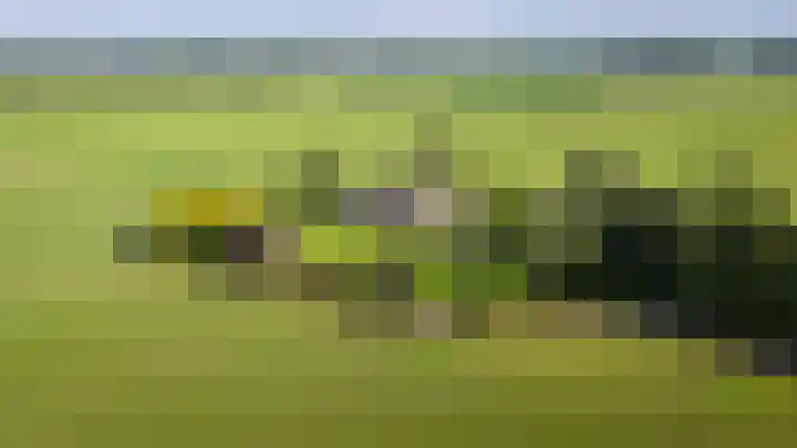 Geesinkweg 12 Warnsveld thumbnail 55