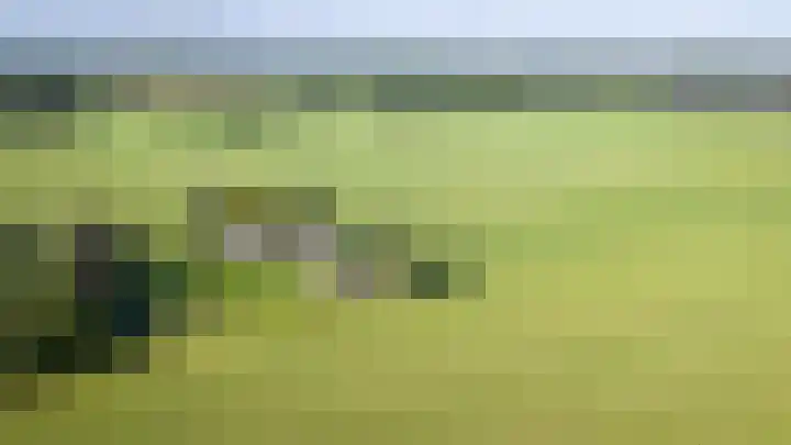 Geesinkweg 12 Warnsveld thumbnail 56