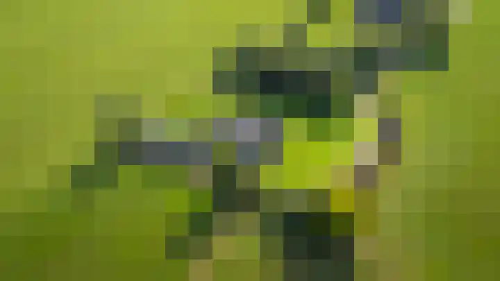 Geesinkweg 12 Warnsveld thumbnail 57