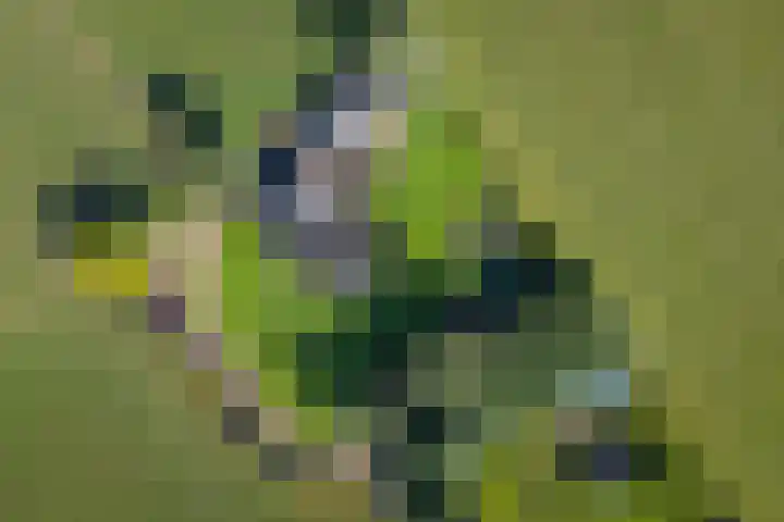 Geesinkweg 12 Warnsveld thumbnail 58